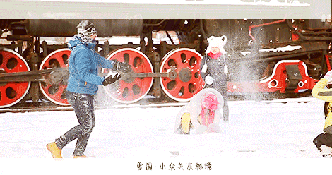 之缺不了的打雪仗冬天逛东北高大的北方树木,挂着冰晶透明的雾凇,头顶