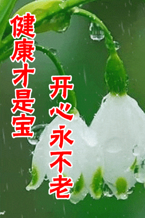 2月5日最漂亮早上好动态表情图片大全早晨好动图美图大全