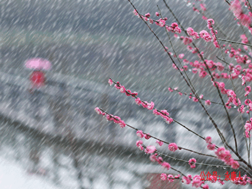 580_435gif 动态图 动图