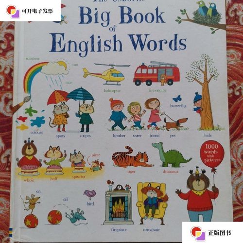 【二手9成新】the usborne big book of english words /mair