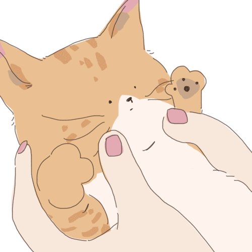 猫咪动图 插画