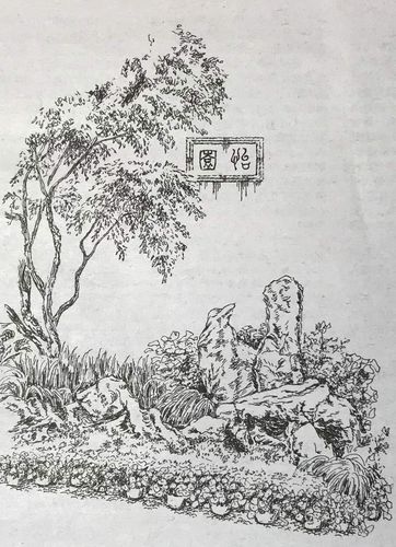 古典园林 苏州怡园