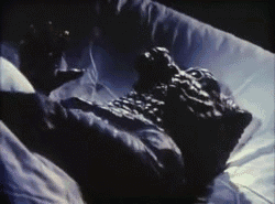 gif怪兽_万物皆可啪啪啪_ _暴走漫画_我们是尼玛们的忠实盟友(91