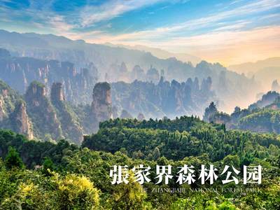 世界自然遗产—张家界旅游官方网站