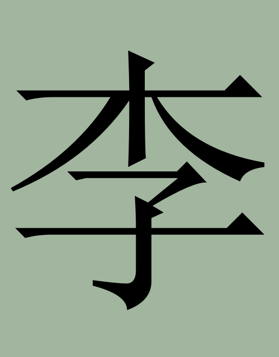 李字特殊字体 - 动态图库网